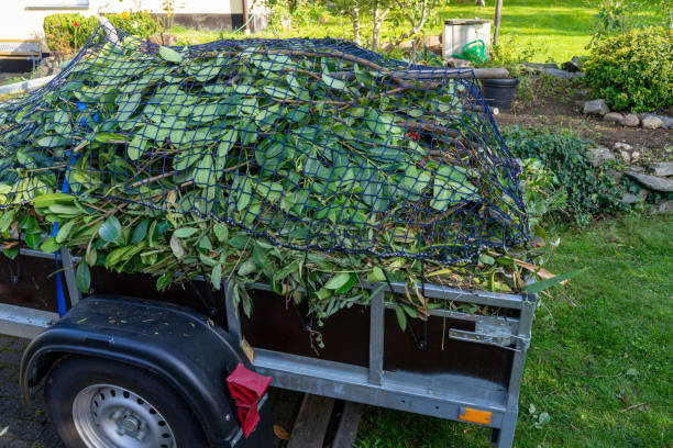 Best Electronics and E-Waste Disposal  in Houghton Lake, MI
